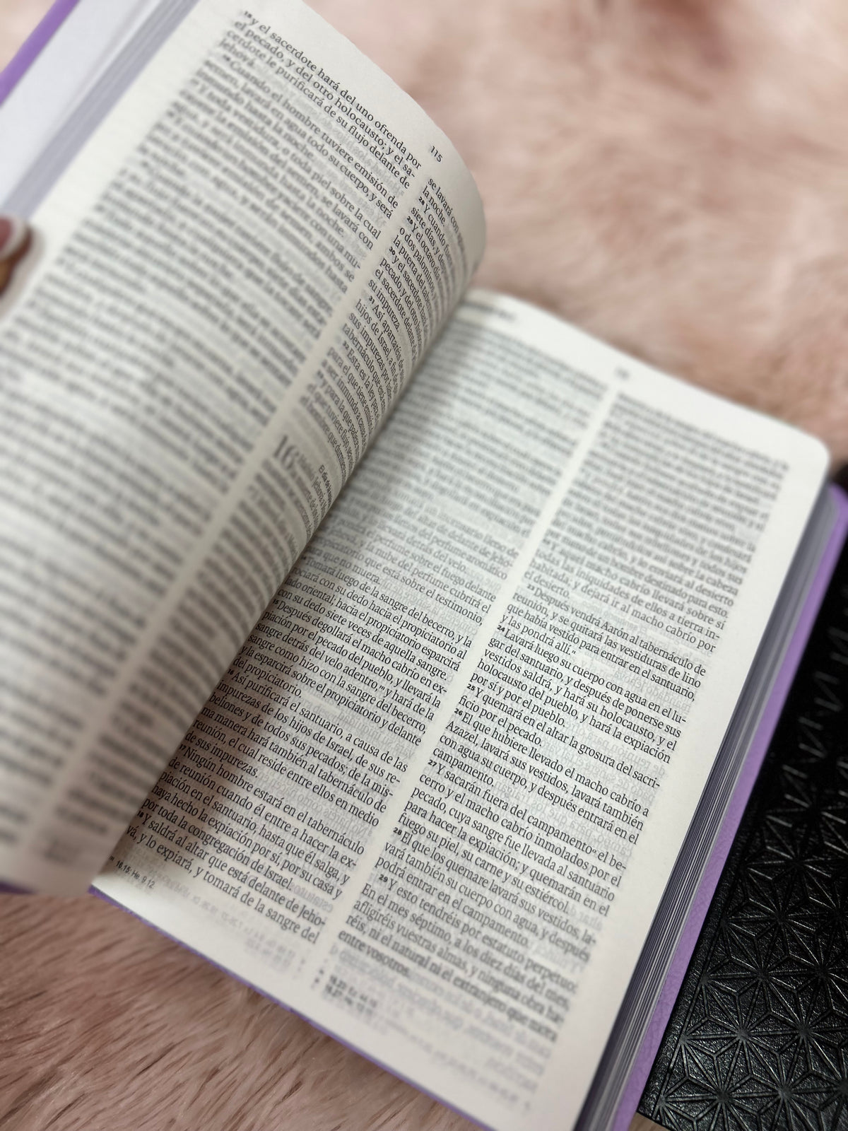 Biblia de letra grande 11,5 puntos en símil piel canto pintado palabras de Jesús en rojo y concordancia
