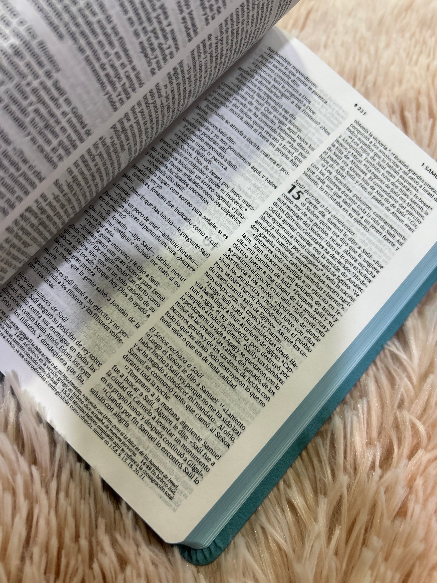 Biblia tamaño compacto de letra mediana semi piel con canto pintado versión NTV