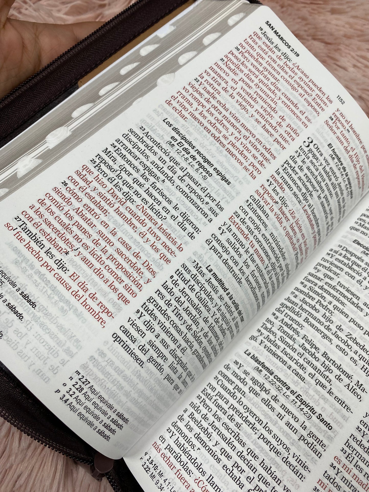 Biblia de letra grande 12 puntos de versión RV1960 con índice y cierre con concordancia en símil piel