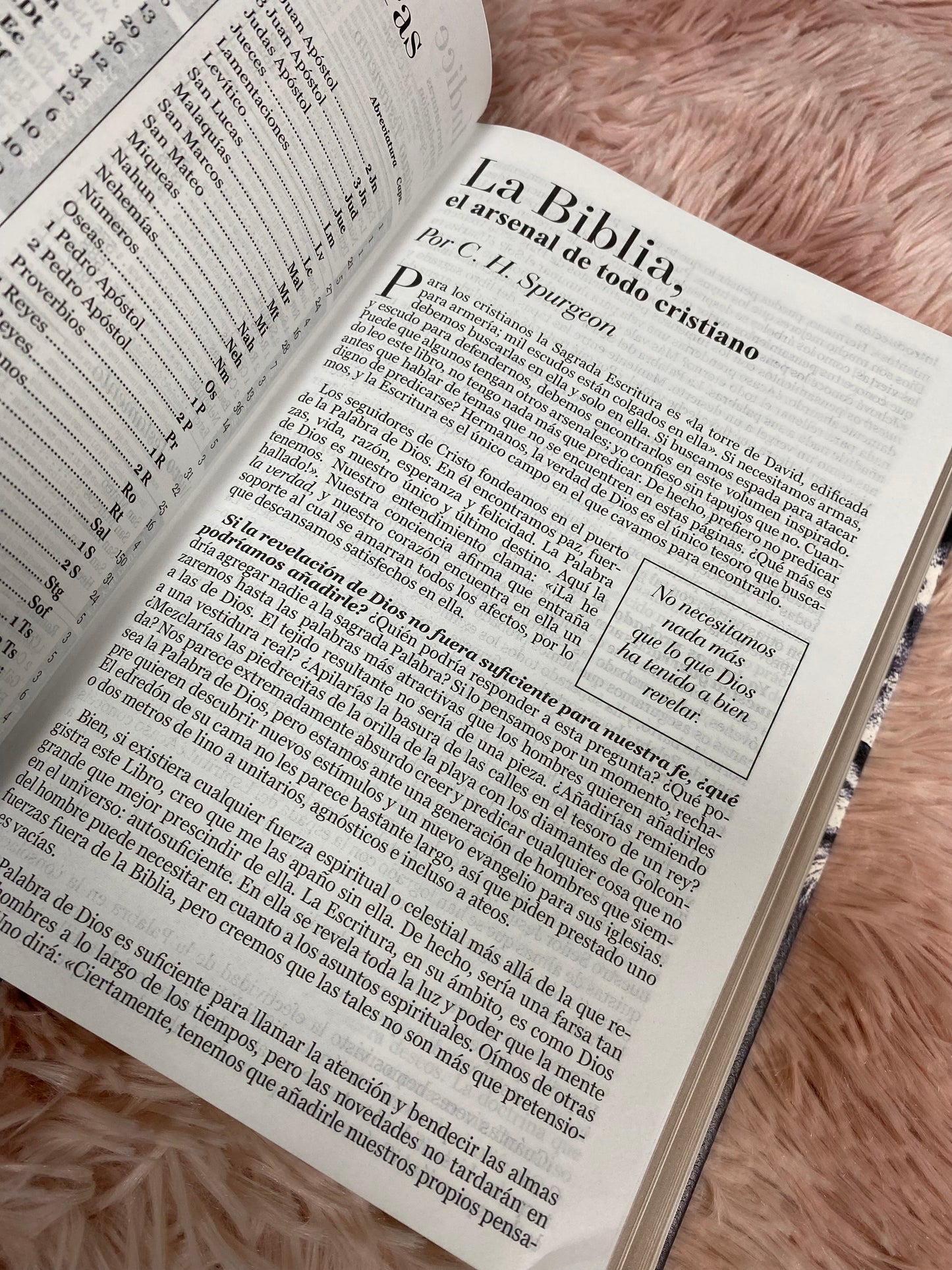 Biblia tapa dura letra grande canto dorado palabras de Jesús en rojo versión RV1960