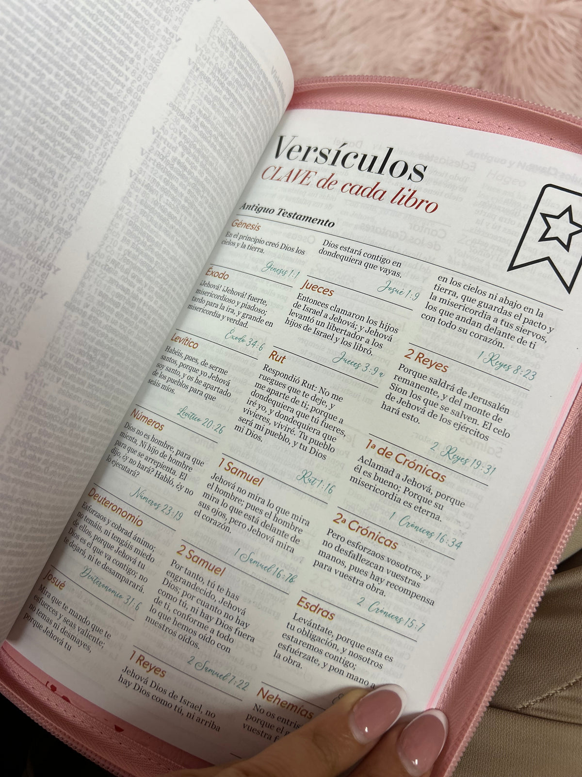 Biblia de letra grande 11,5 puntos con cierre en símil piel canto pintado palabras de Jesús en rojo y concordancia