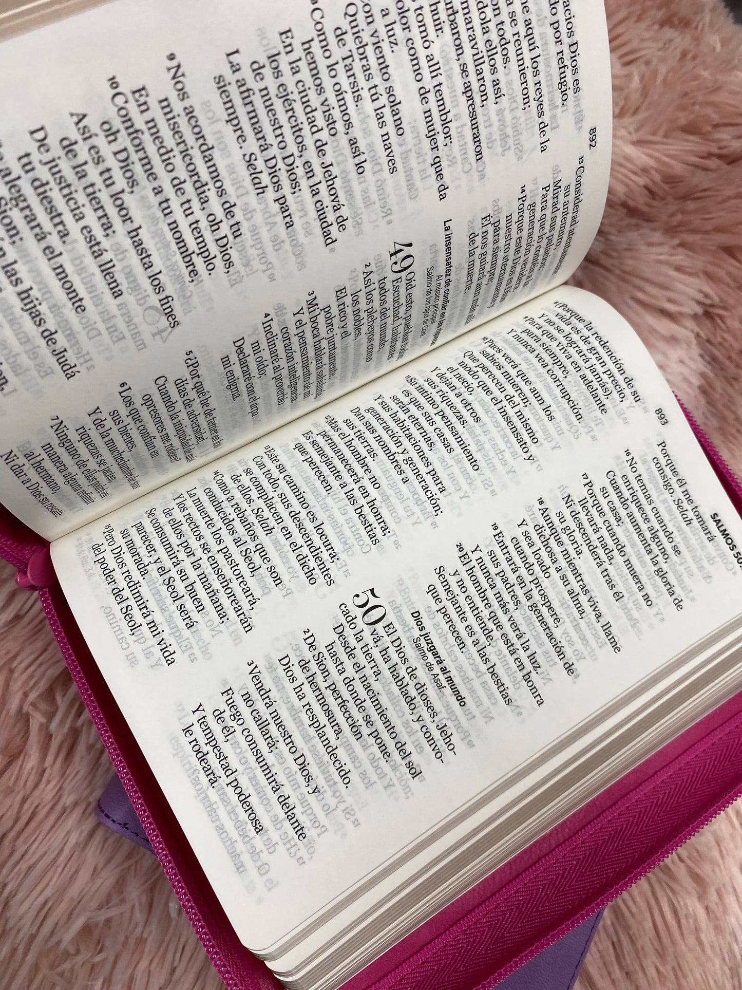 Biblia pequeña letra grande de 11 puntos con cierre y canto dorado versión RV1960 con concordancia