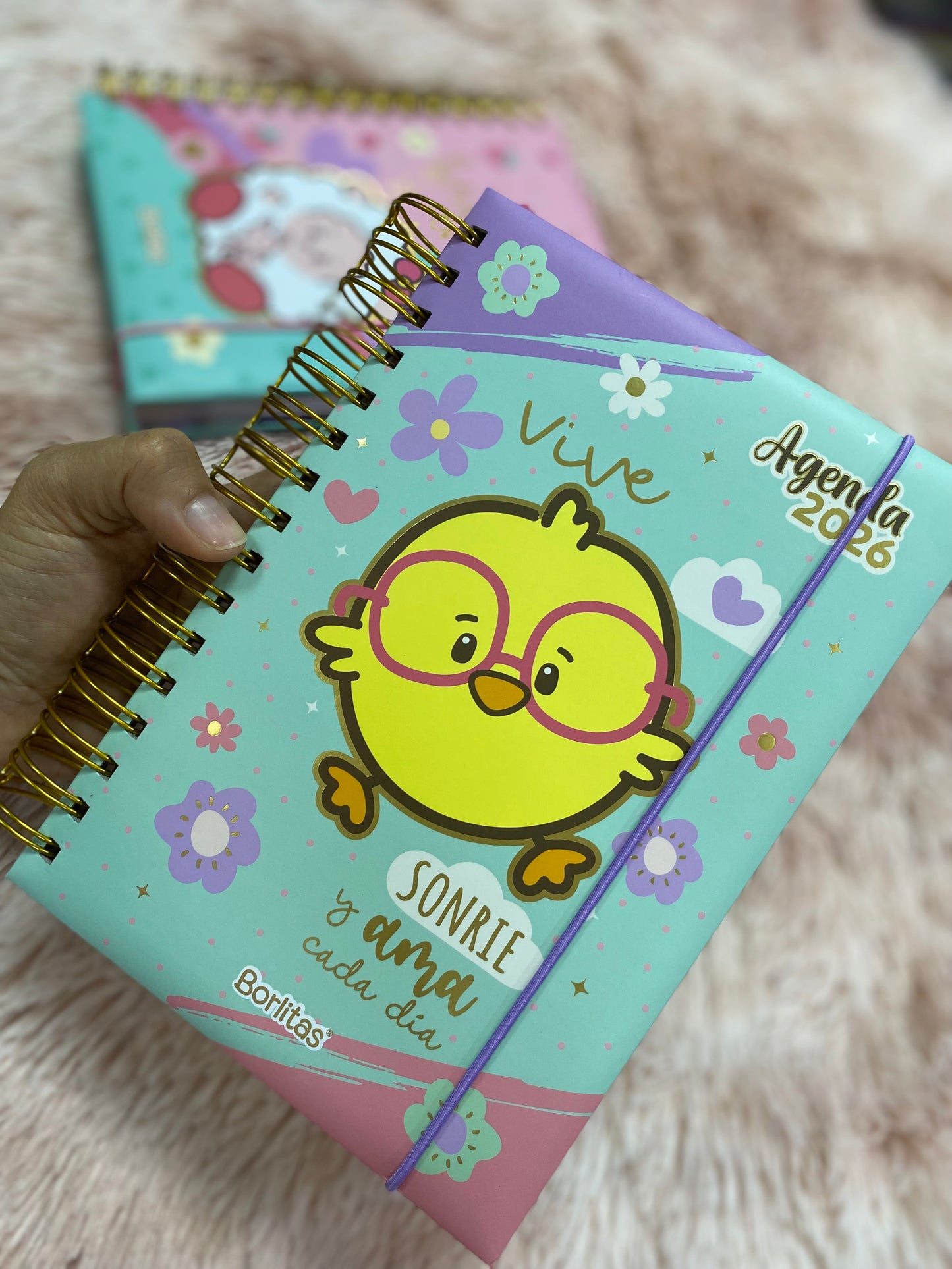 Agendas 2026 - Colección borlitas de espirales