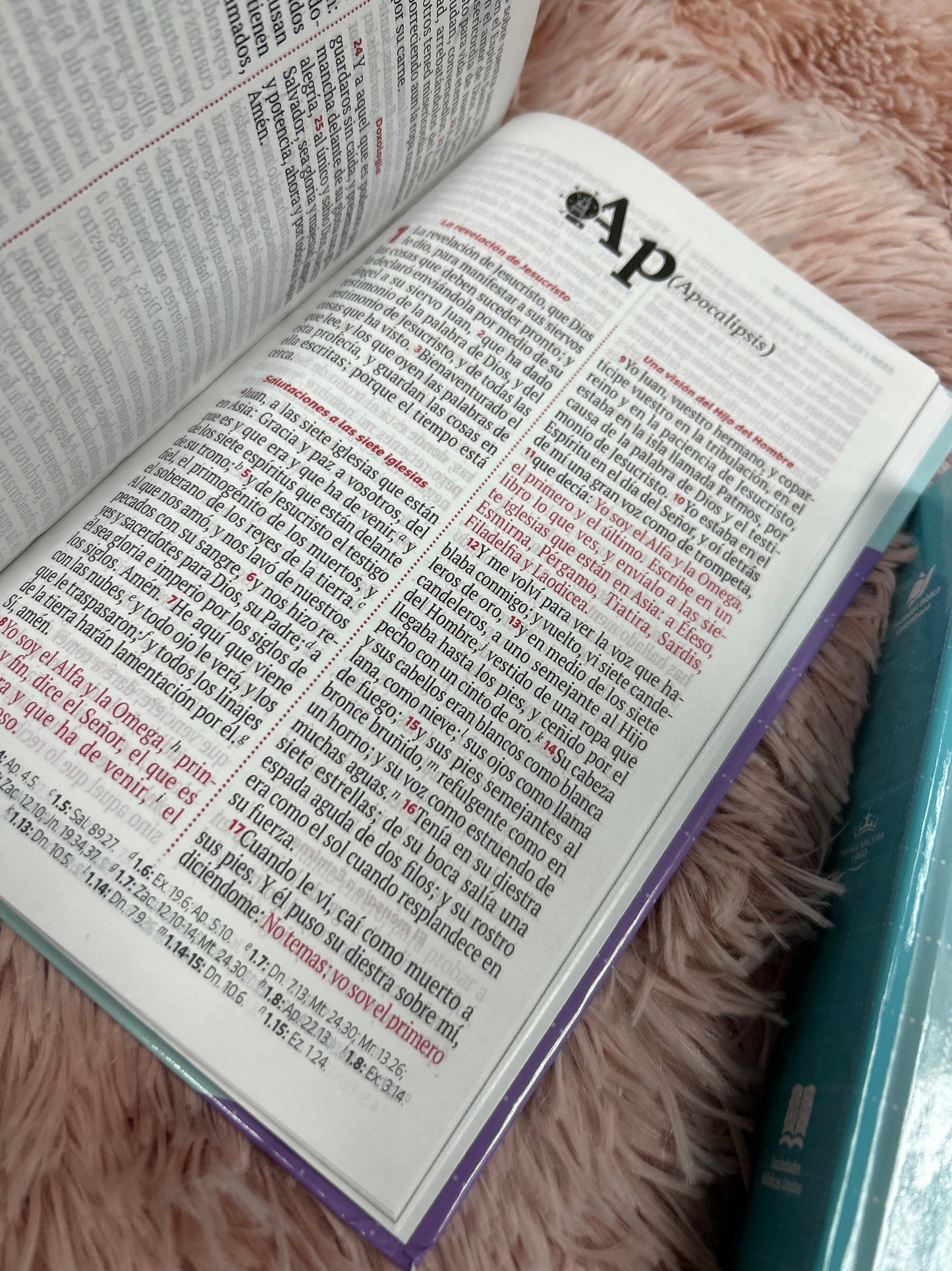 Biblia tapa dura en versión RV1960 letra grande palabras de Jesús en rojo tamaño manual