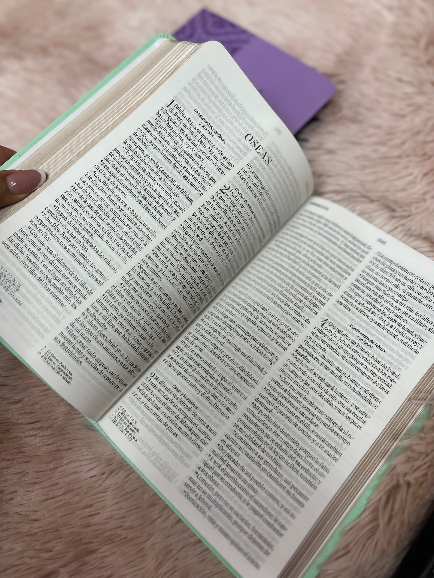Biblia de letra grande 11,5 puntos en símil piel canto pintado palabras de Jesús en rojo y concordancia