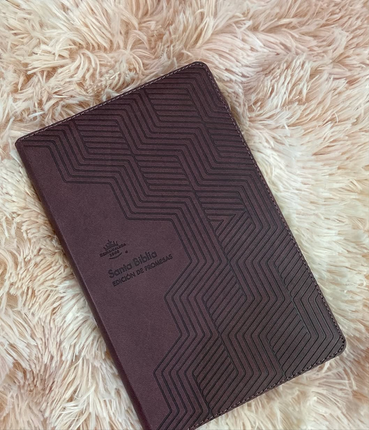 Biblia símil piel edición promesas letra grande 12 puntos versión RV1960 con índice y cierre y concordancia