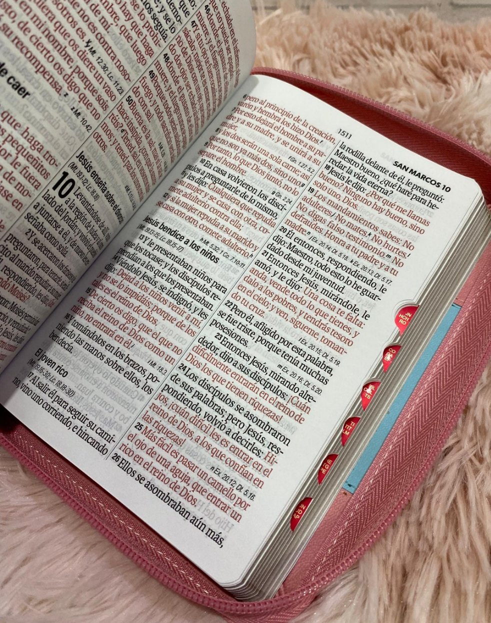 Biblia letra grande 12 puntos con cierre e índice versión RV60 con concordancia