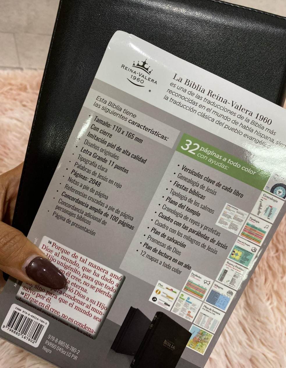 Biblia pequeña letra grande 11 puntos con cierre y canto dorado versión RV60 con concordancia