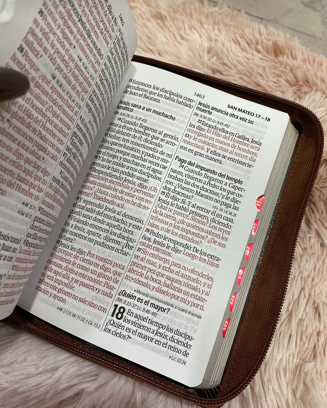 Biblia mediana letra grande 12 puntos versión RV1960 color marrón con cierre e índice canto dorado