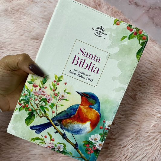 Biblia tamaño manual letra 12 puntos versión RV1960 con concordancia