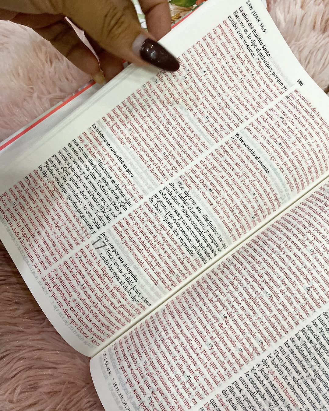 Biblia tapa dura floreada letra grande 10 puntos versión RV1960 con concordancia