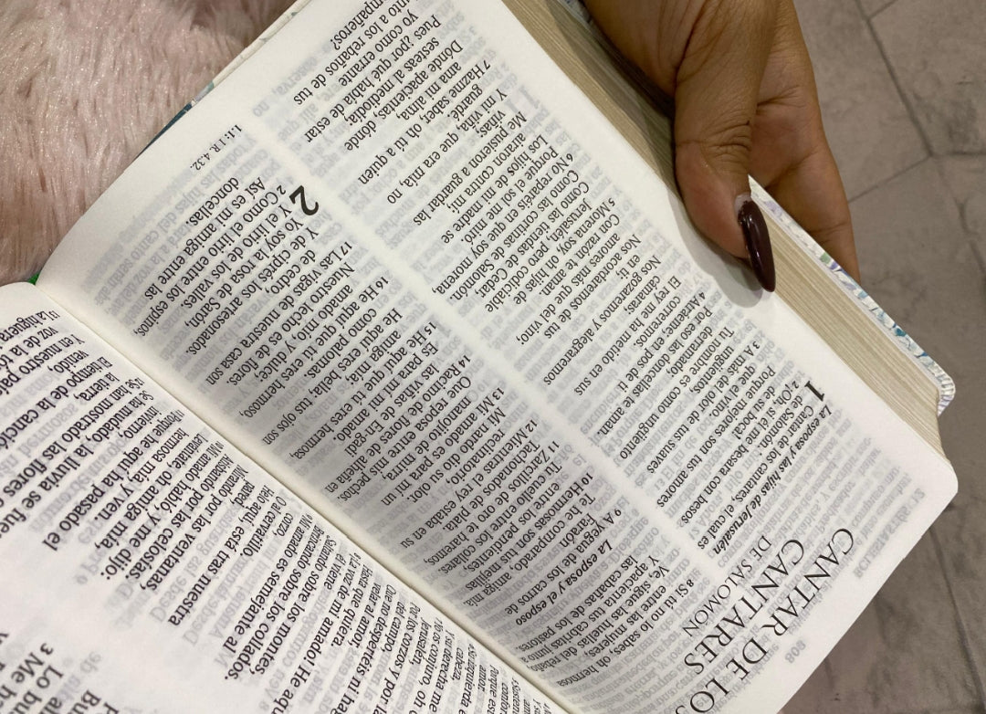 Biblia en símil piel canto dorado letra grande 12 puntos versión RV1960 con concordancia