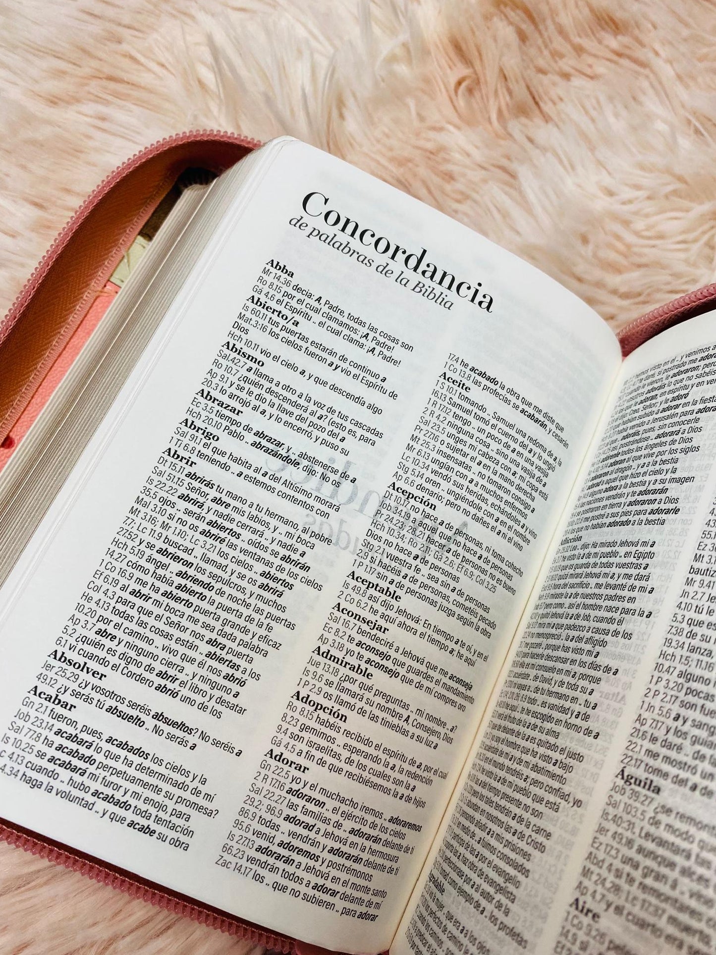 Biblia tamaño bolsillo letra 8 puntos con cierre símil piel versión RV60 con concordancia