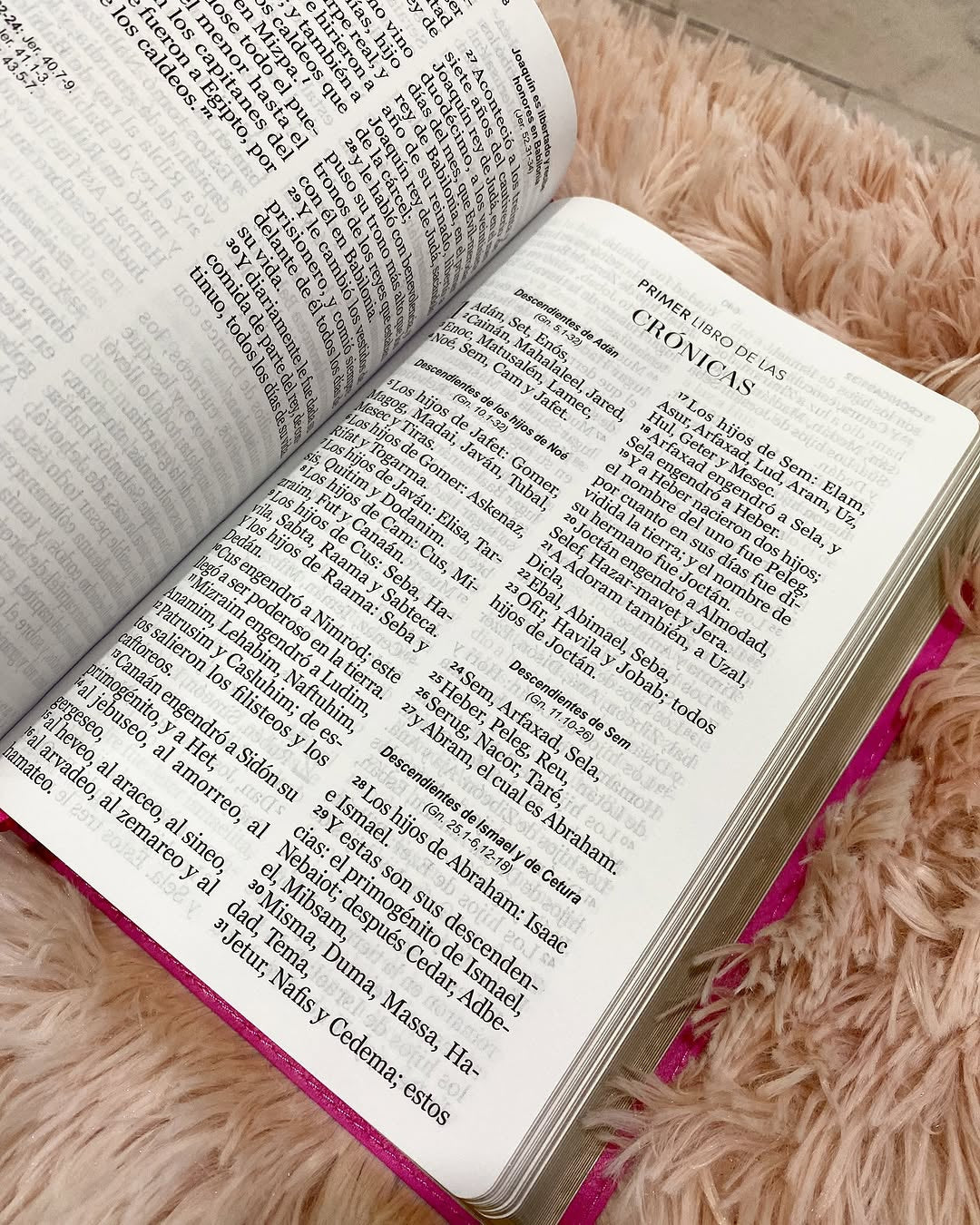 Biblia letra gigante 14 puntos versión RV1960 color fucsia con concordancia
