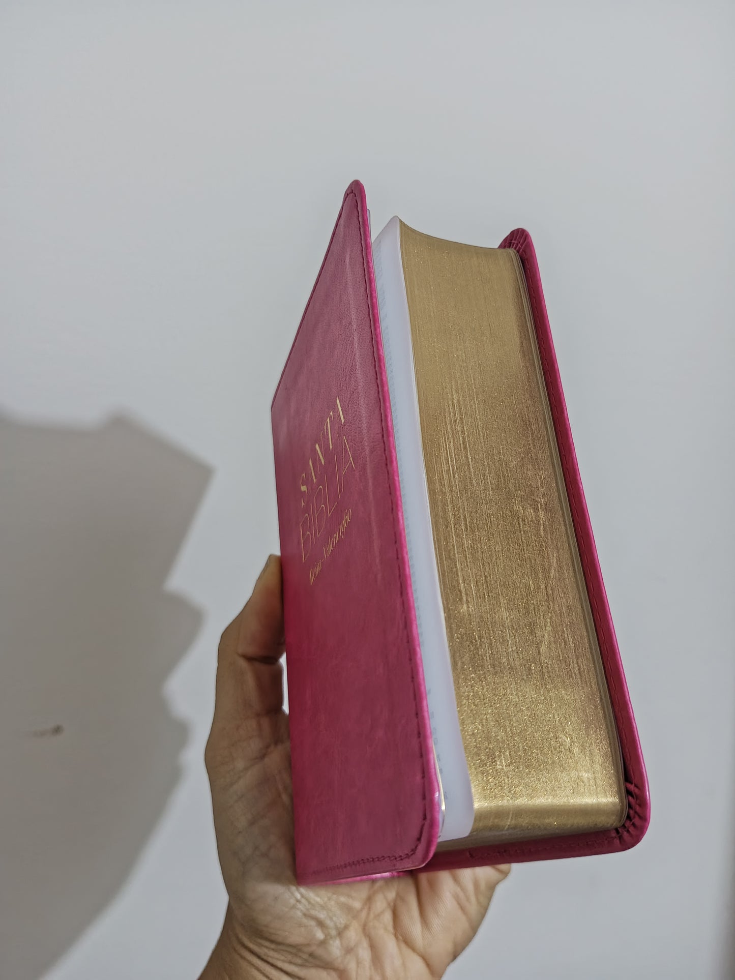 Biblia de bolsillo con canto dorado símil piel letra mediana 8 puntos versión RV60