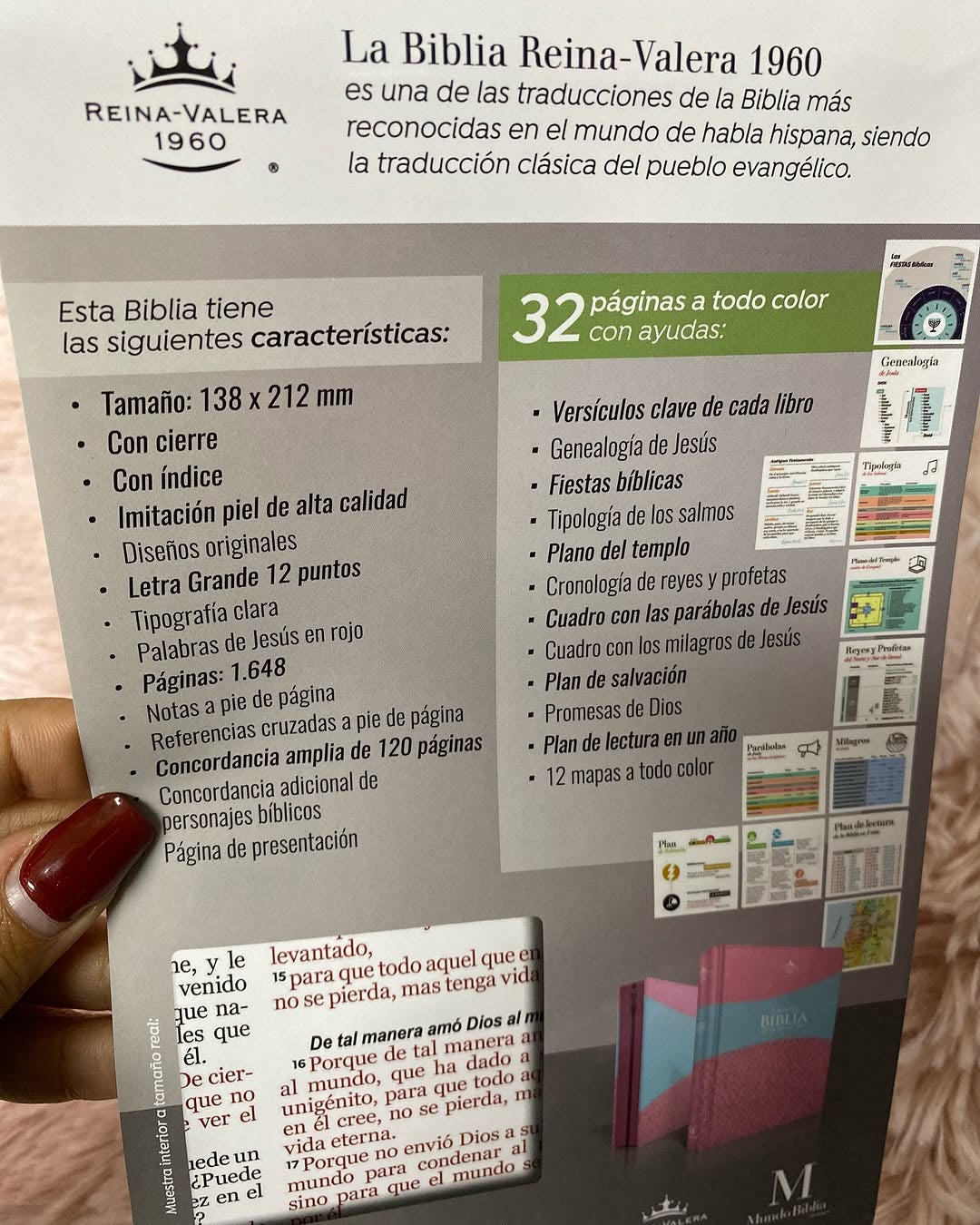 Biblia letra grande 12 puntos con cierre e índice versión RV60 con concordancia