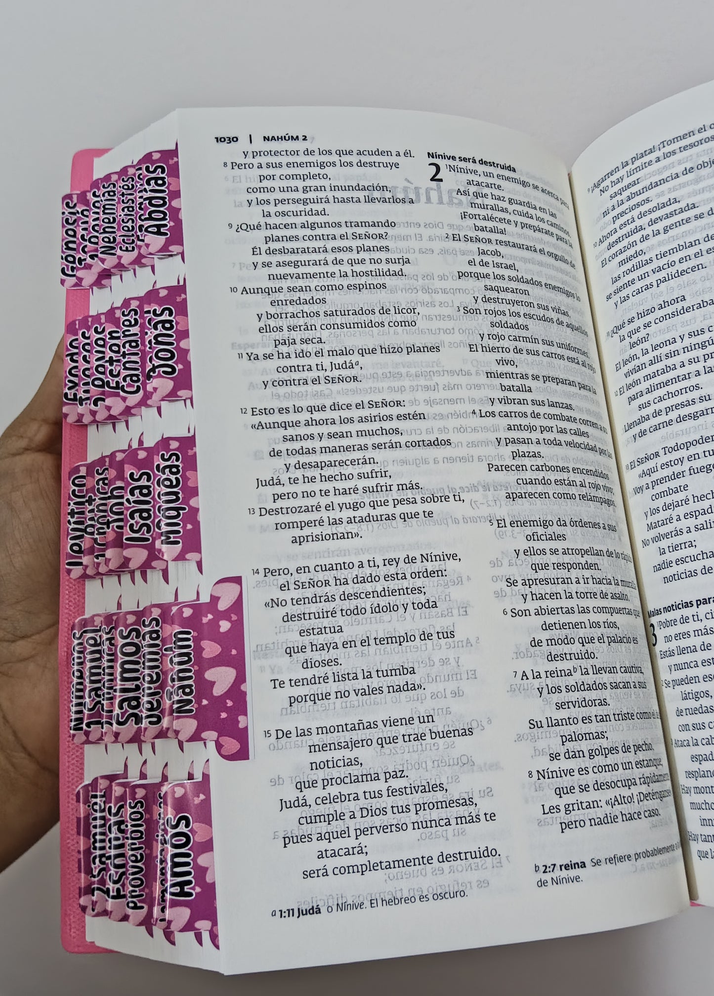 Biblia económica versión PDT: palabra de Díos para todos + taps etiquetas de los libros incluídos