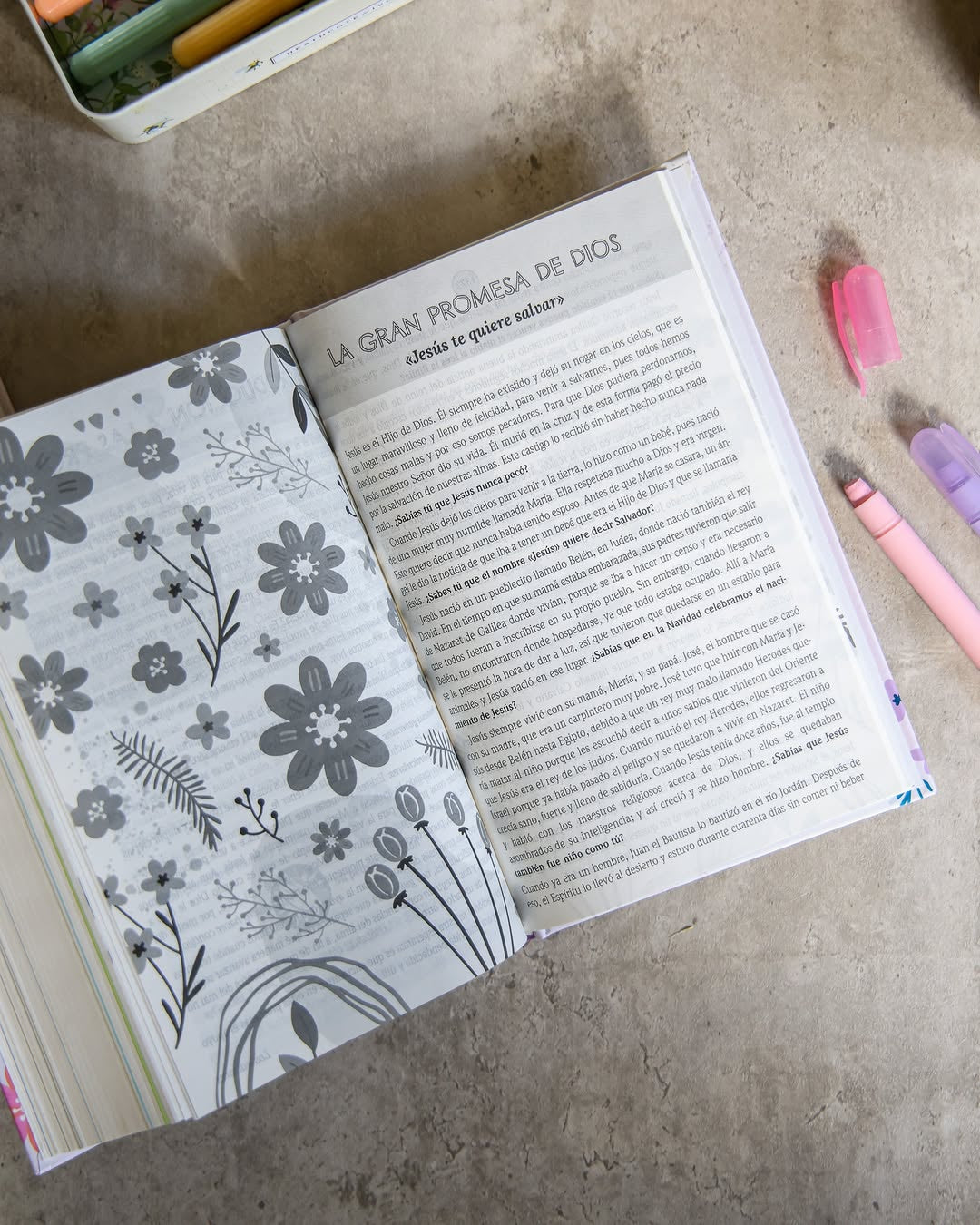 Biblia de promesas para niñas versión NTV en tapa dura ilustrada y promesas marcadas