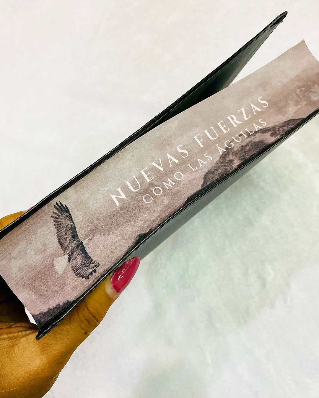 Biblia letra gigante 19 puntos versión RV1960 canto pintado con concordancia