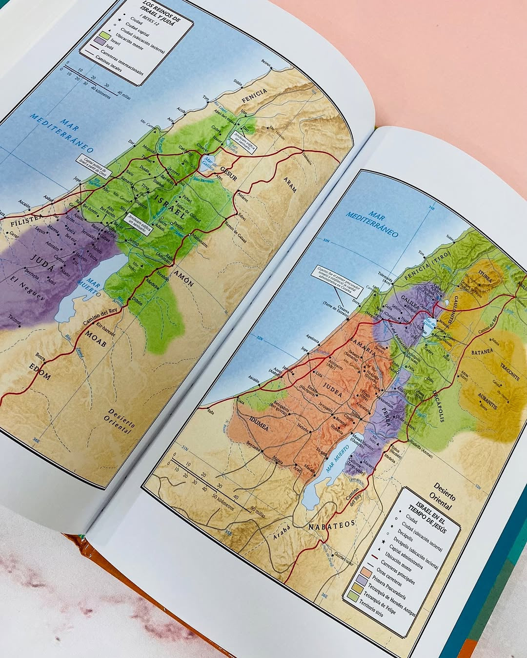 Biblia de estudio arcoiris en tapa dura versión RV1960