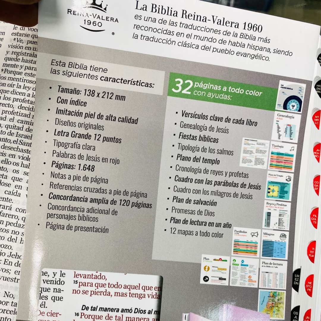 Biblia letra grande 12 puntos con índice versión RV60 y concordancia