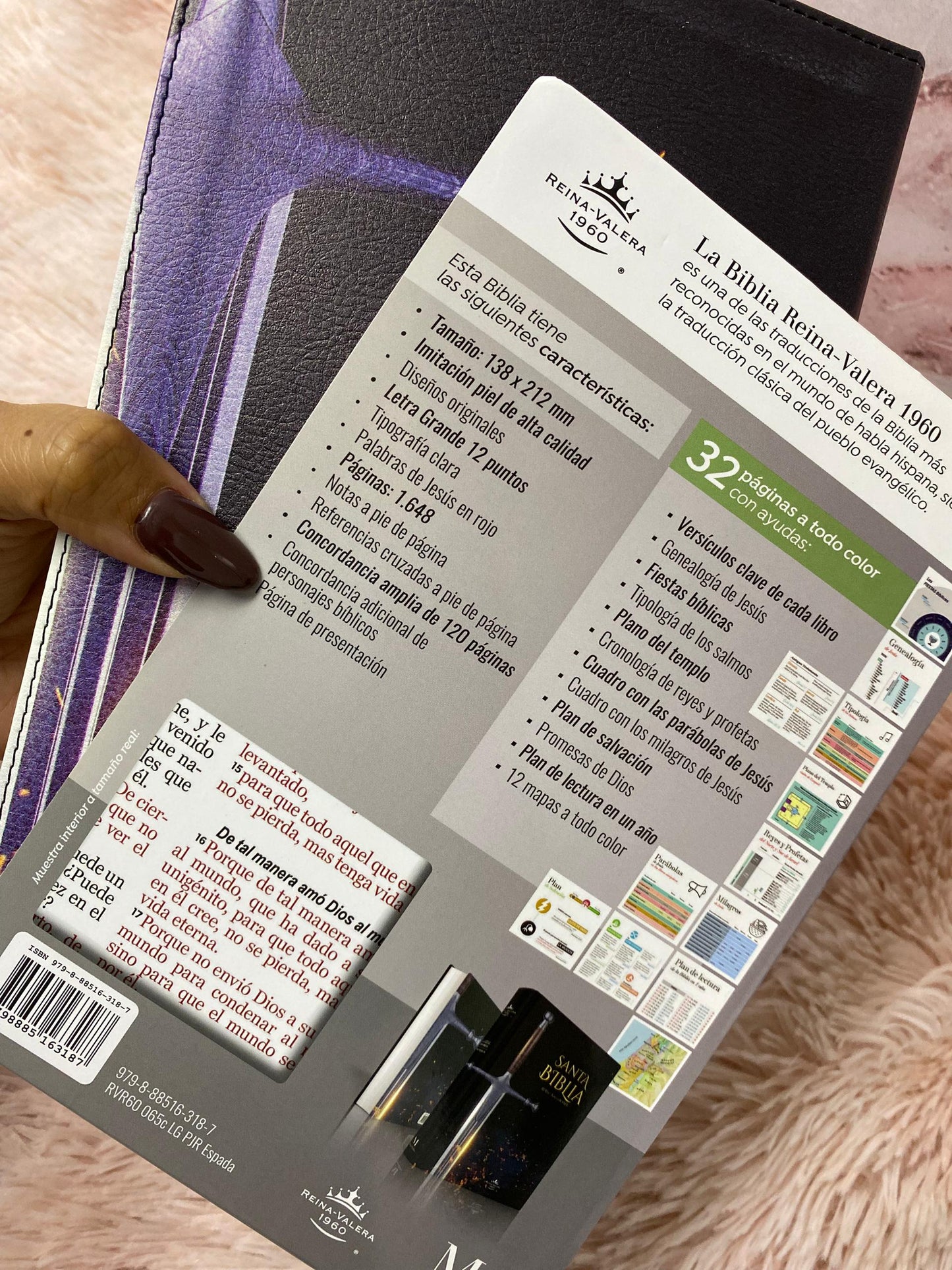 Biblia de espada letra grande 12 puntos tapa flexible versión RV1960 con concordancia