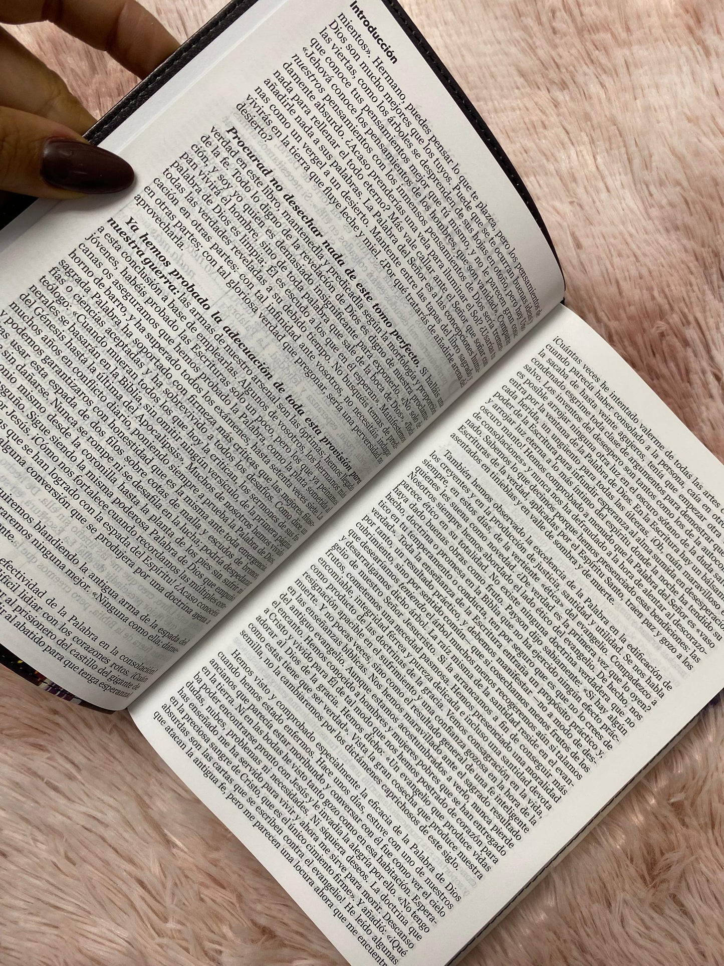 Biblia de espada letra grande 12 puntos tapa flexible versión RV1960 con concordancia