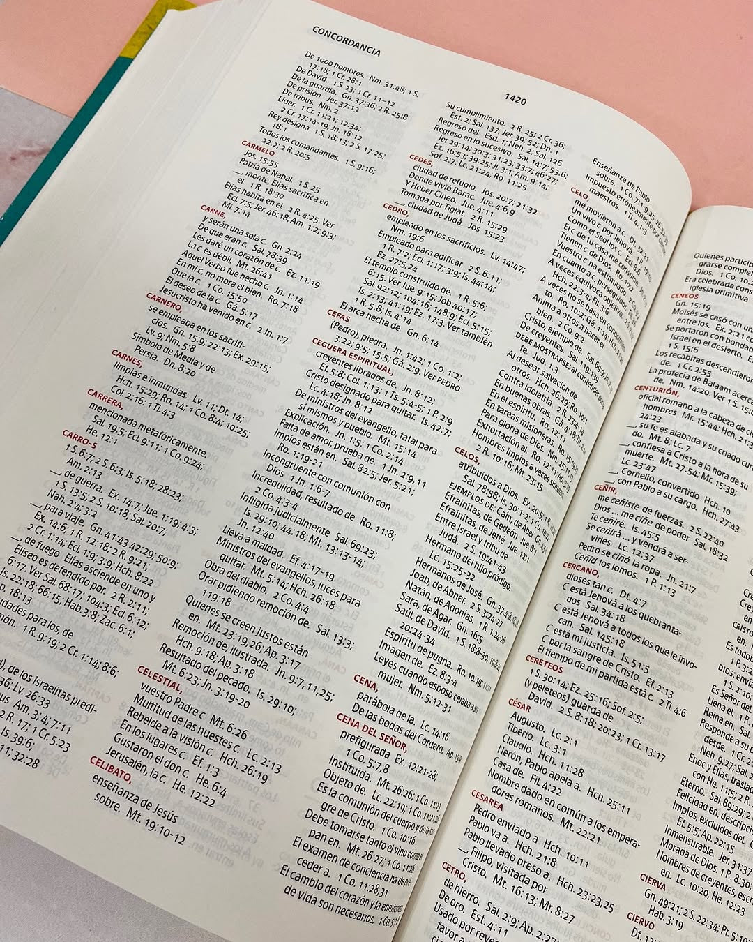 Biblia de estudio arcoiris en tapa dura versión RV1960
