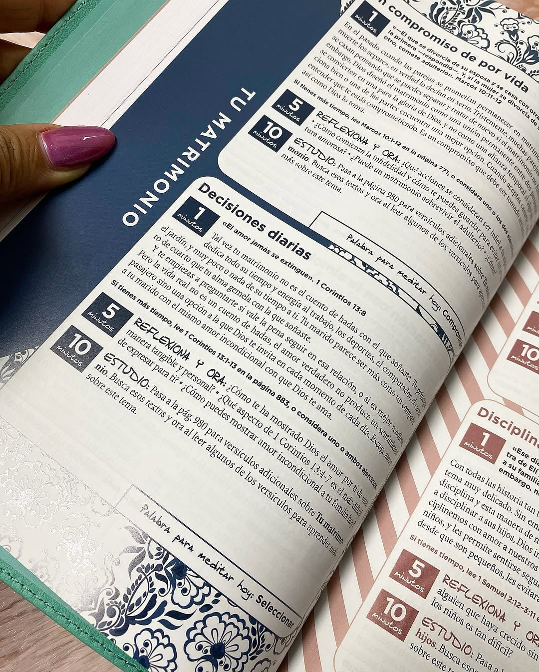 Biblia con devocional versión NVI símil piel canto plateado letra mediana