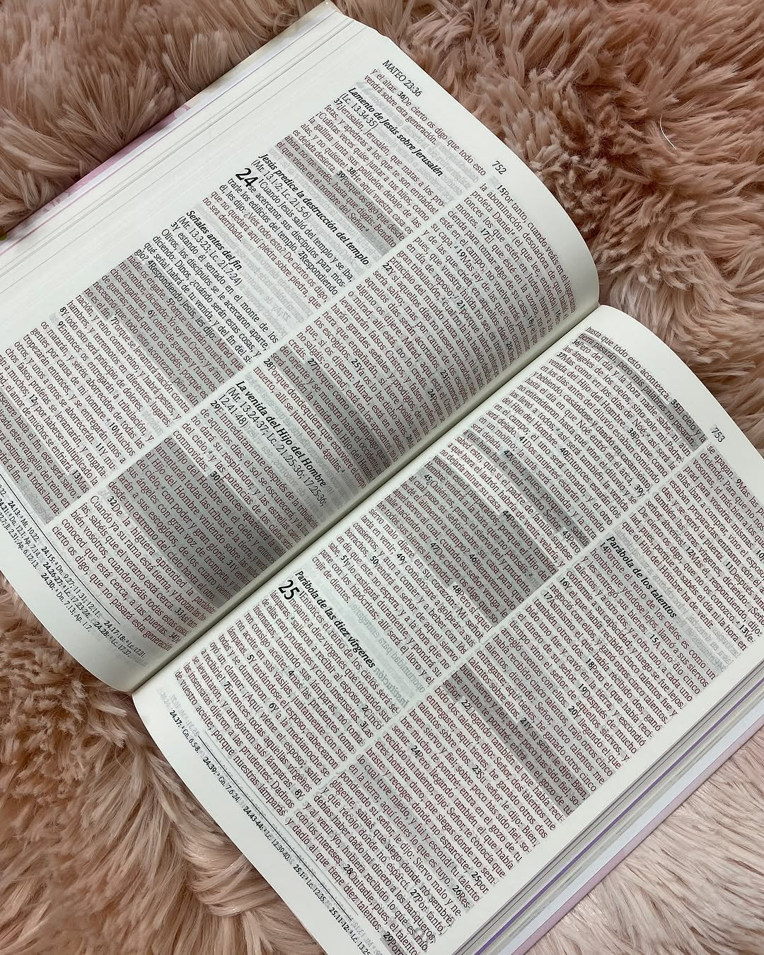 Biblia de promesas para niñas versión RV1960 ilustrada en tapa dura y promesas marcadas