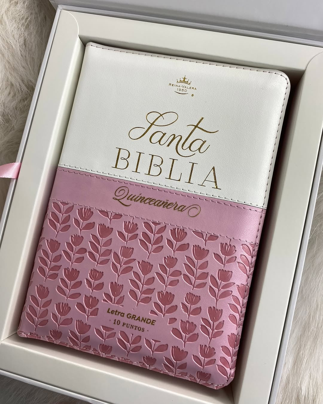 Biblia de quinceañeras en caja para regalos versión RV1960 con cierre índice e ilustrada
