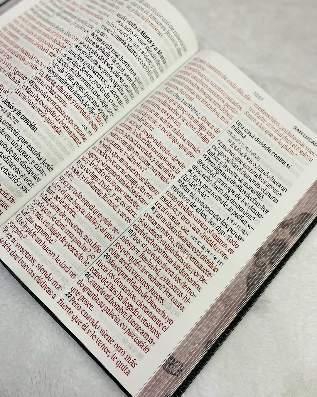 Biblia letra gigante 19 puntos versión RV1960 canto pintado con concordancia