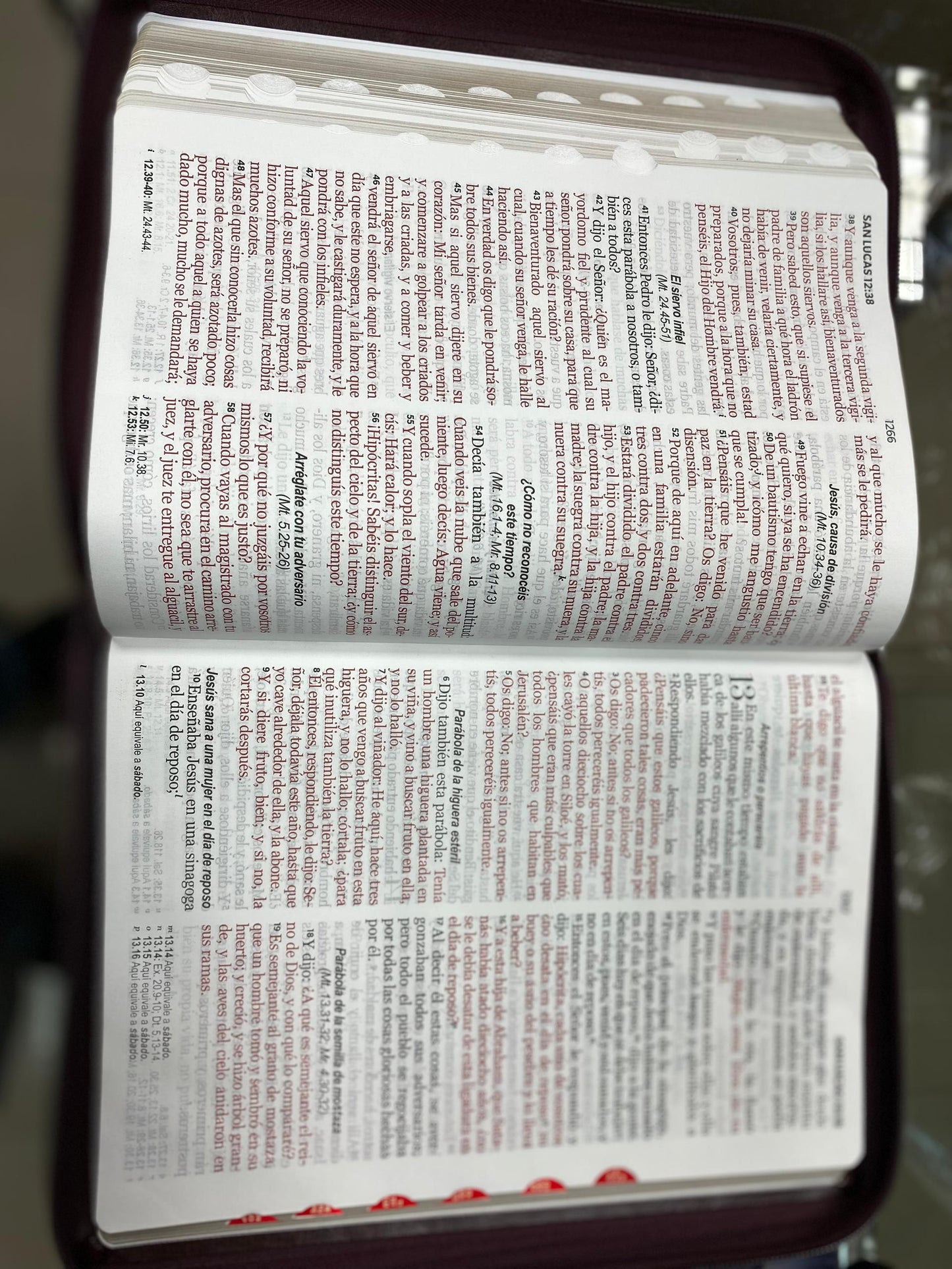 Biblia letra gigante 15 puntos con cierre e índice versión RV60 con concordancia