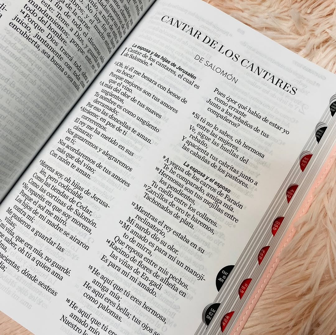 Biblia letra grande 12 puntos tapa flexible versión RV1960 con índice y con concordancia
