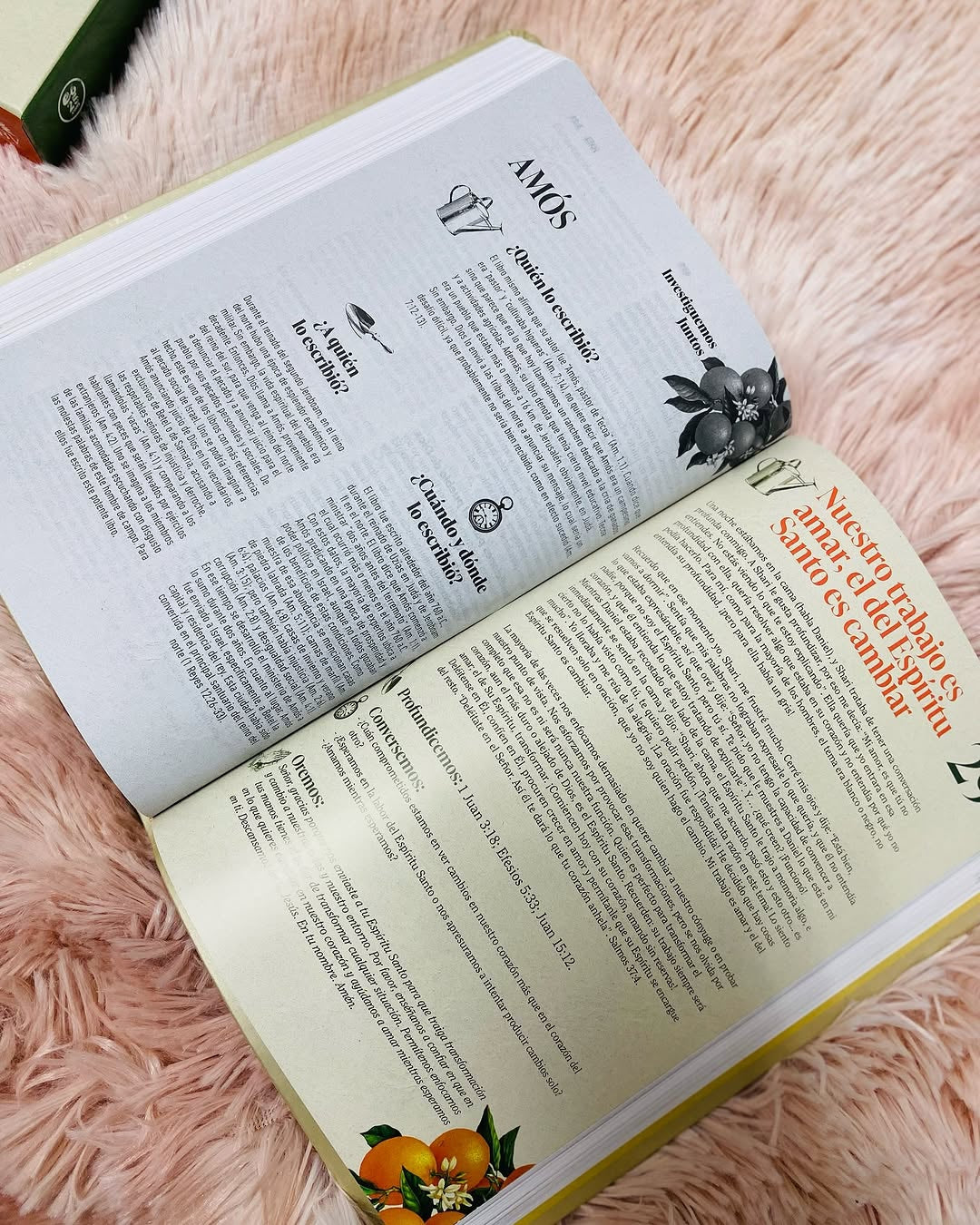 Biblia devocional matrimonial símil piel en letra mediana versión NBV