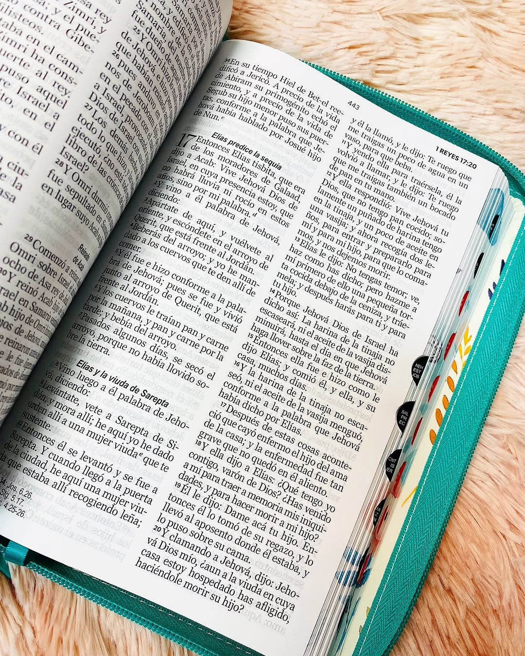 Biblia letra grande 12 puntos con cierre e índice canto floreado versión RV1960