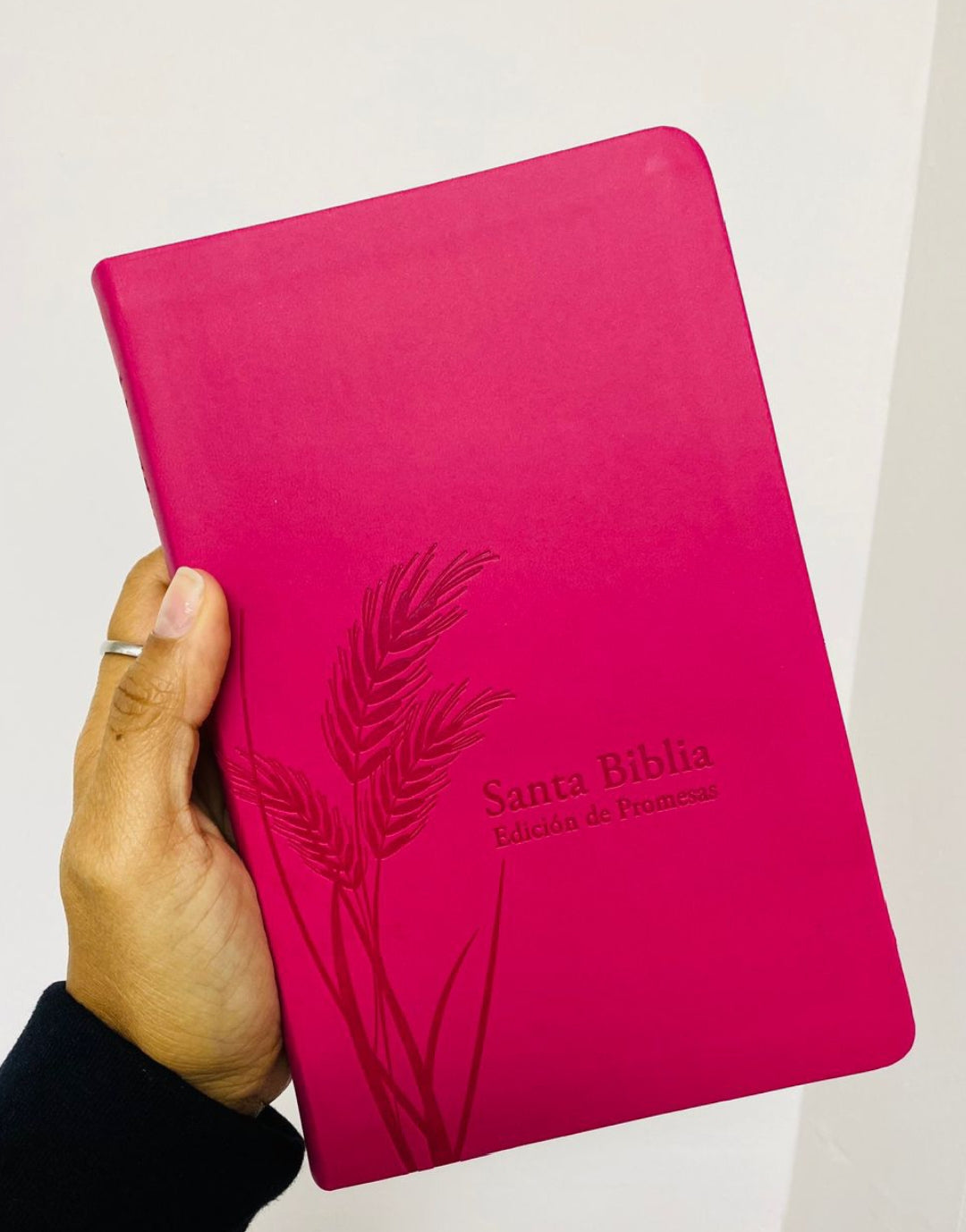 Biblia de promesas símil piel con indice y canto plateado versión RV1960 letra grande 12 puntos