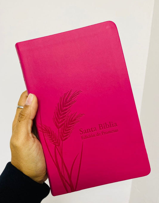 Biblia de promesas símil piel con cierre y canto plateado versión RV1960 letra grande 12 puntos
