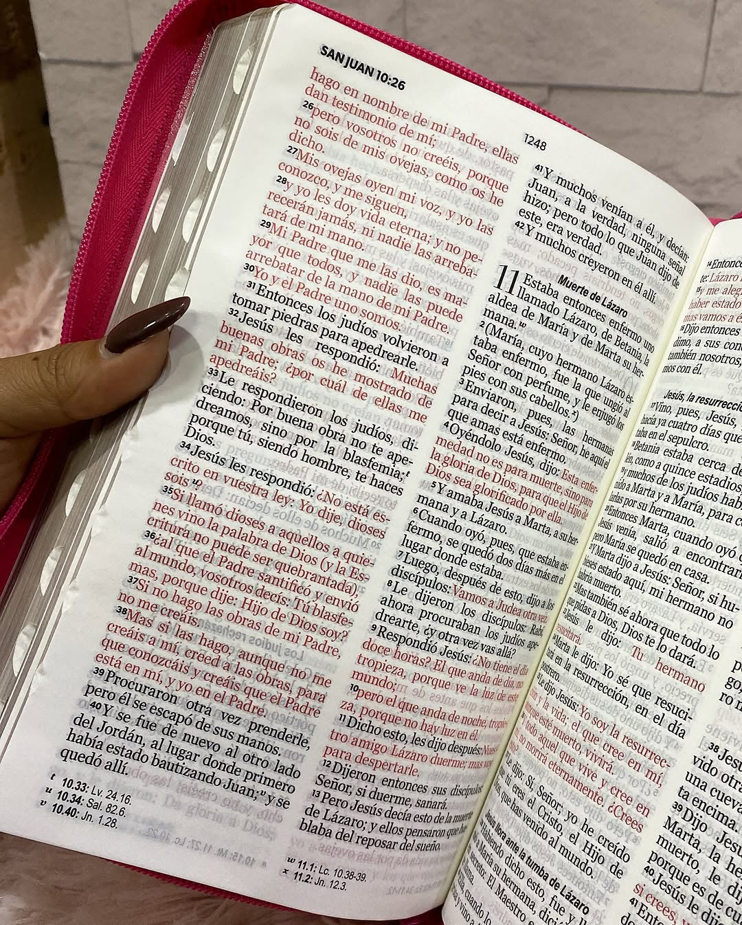 Biblia letra grande 12 puntos versión RV1960 con cierre índice canto dorado y concordancia