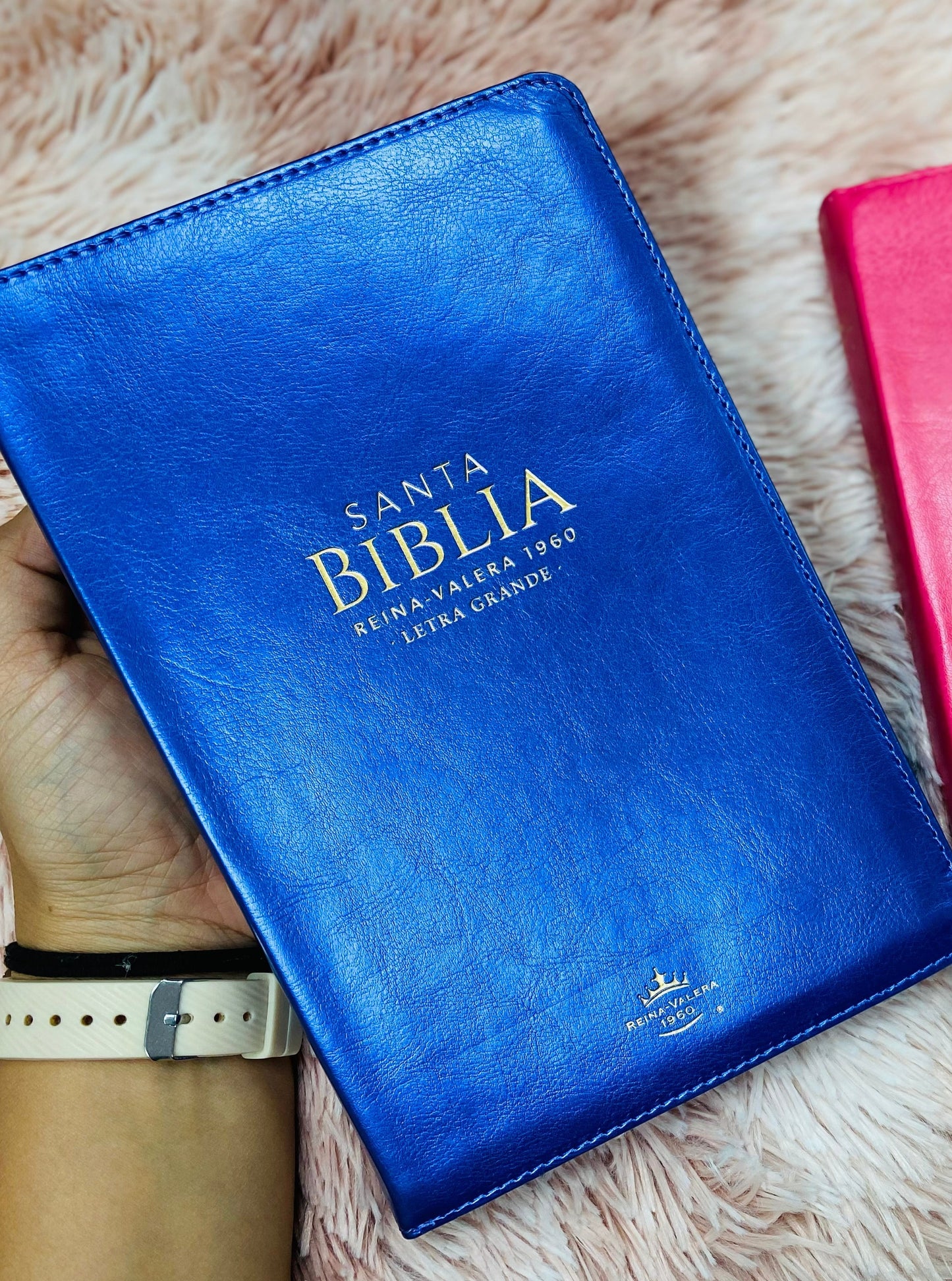 Biblia letra grande 12 puntos con cierre y canto dorado versión RV1960