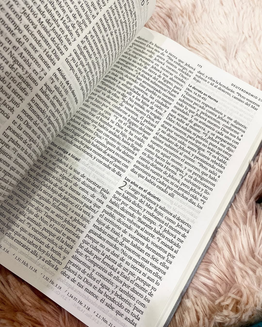 Biblia tapa dura león de Judá letra grande 10 puntos versión RV1960 con concordancia