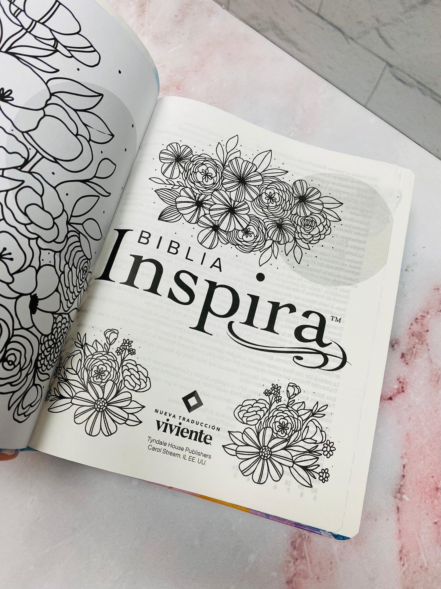 Biblia inspira artística de apuntes e ilustraciones versión NTV letra mediana