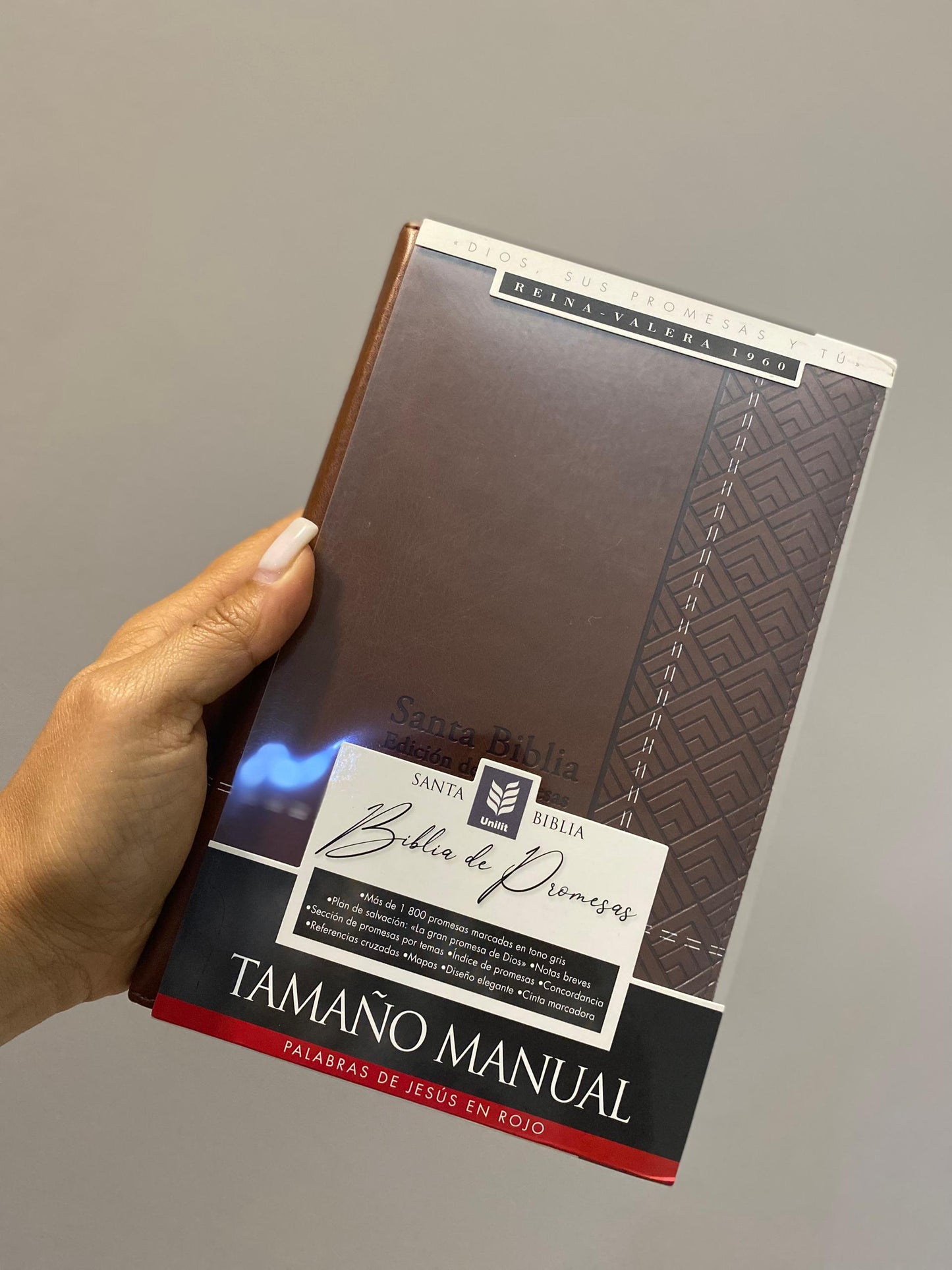 Biblia símil piel edición promesas con cierre canto dorado versión RV1960 letra grande 12 puntos con concordancia