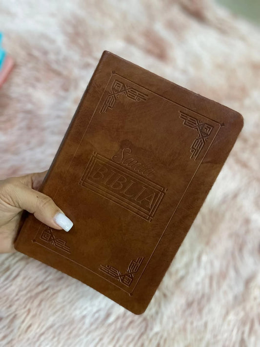 Biblia mediana ultrafina letra mediana símil piel versión RV60