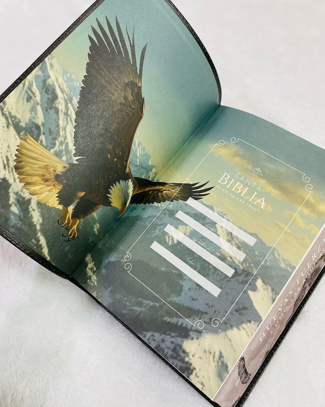 Biblia letra gigante 19 puntos versión RV1960 canto pintado con concordancia