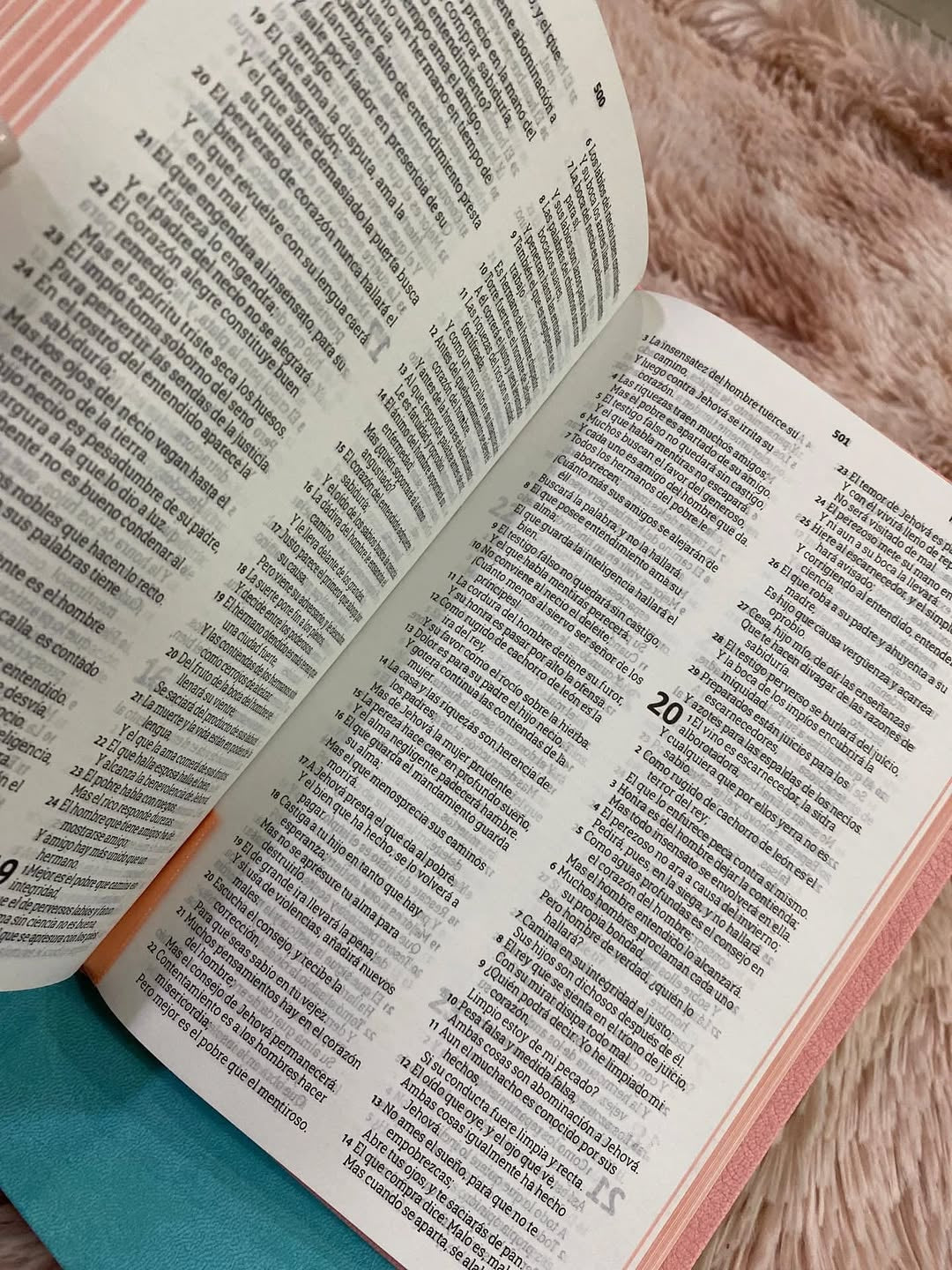 Biblia mediana ultrafina letra mediana símil piel versión RV60