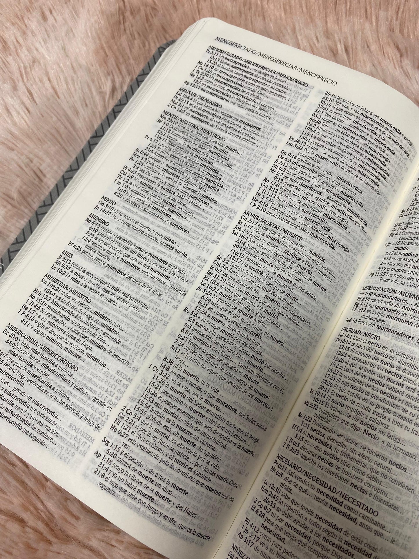 Biblia de promesas letra grande 12 puntos canto plateado versión RV1960