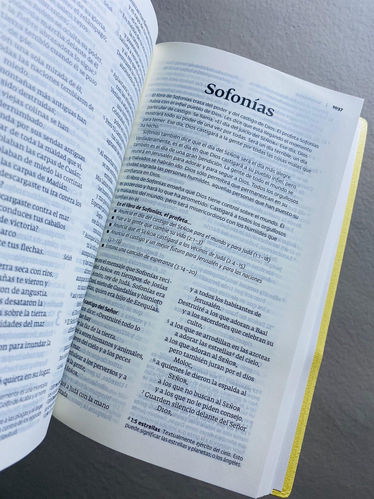 Biblia económica versión PDT: palabra de Díos para todos, letra mediana papel blanco