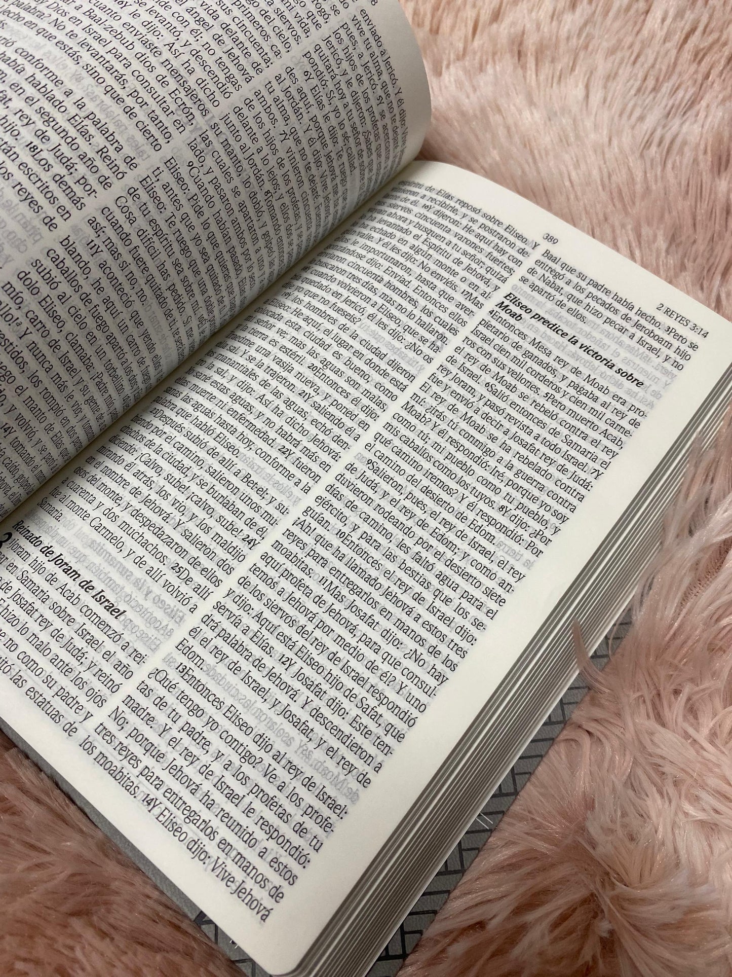 Biblia de promesas letra grande 12 puntos canto plateado versión RV1960