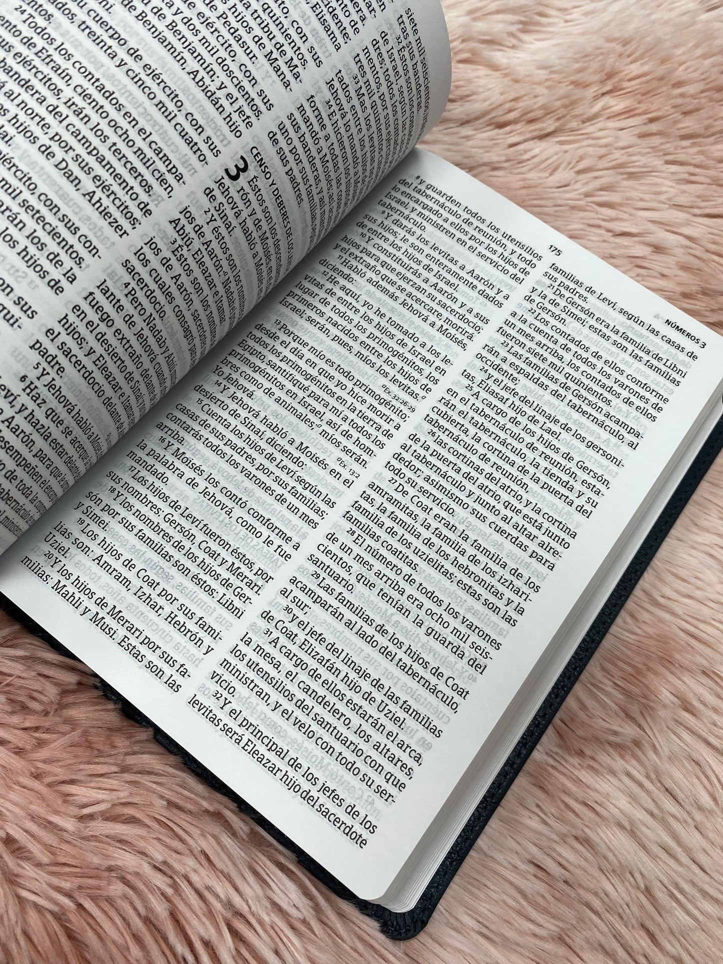 Biblia versión RV1960 letra grande 12 puntos en símil piel canto plateado tamaño manual con concordancia